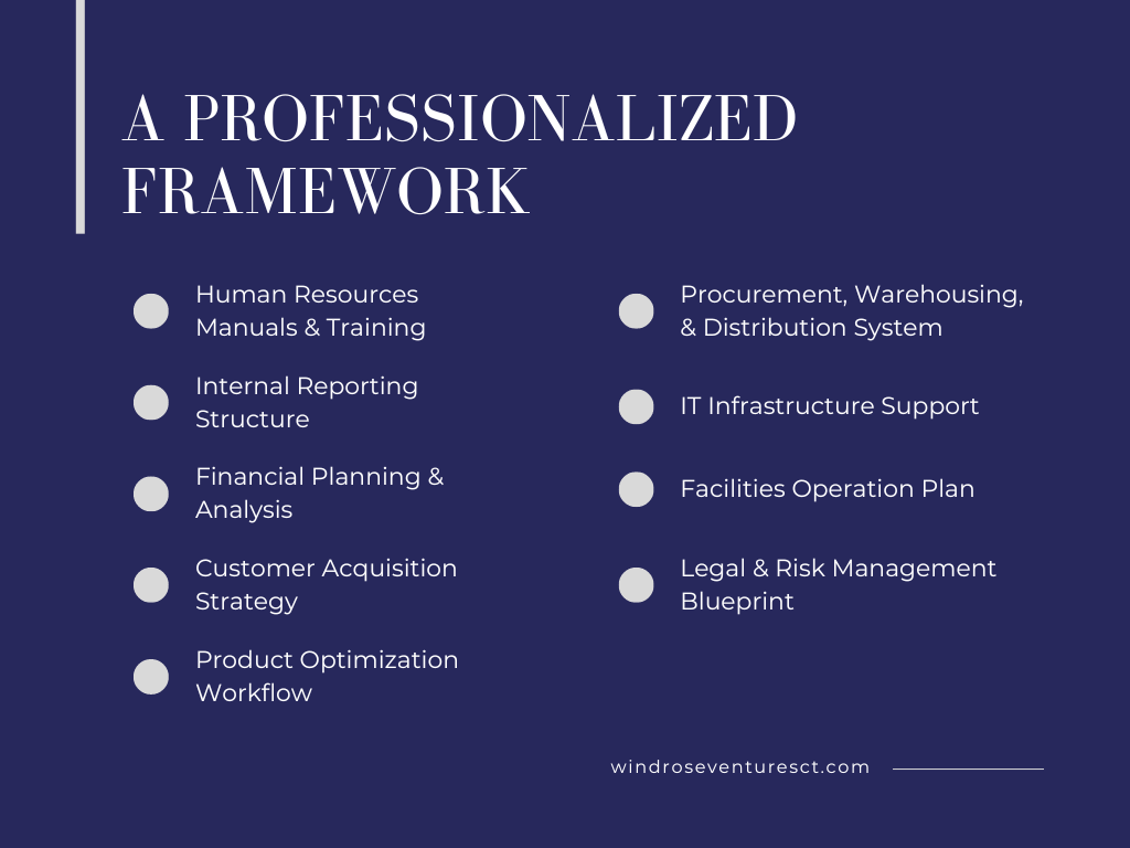 Professionalized Startup Framework